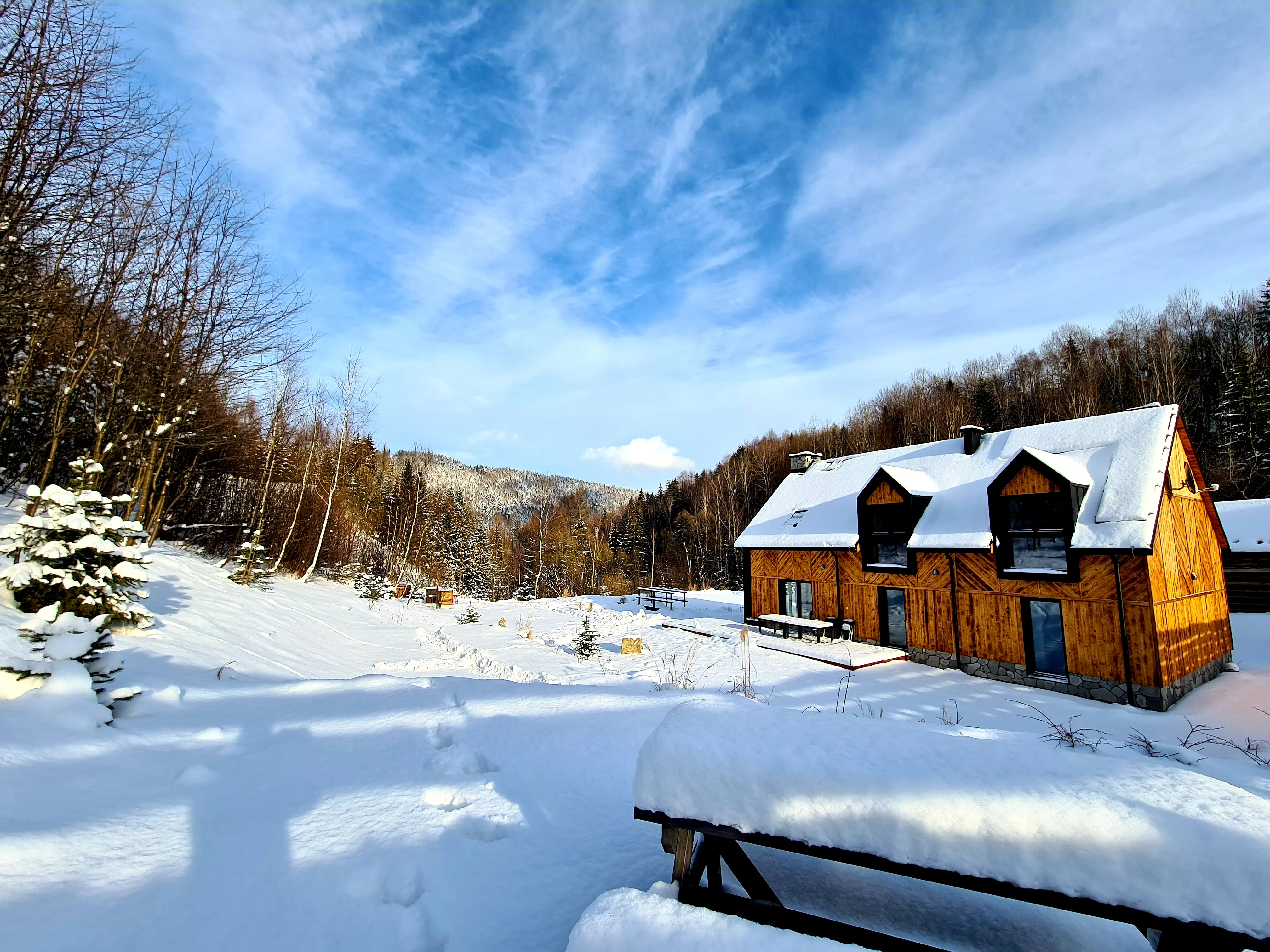 Ogrod/zima